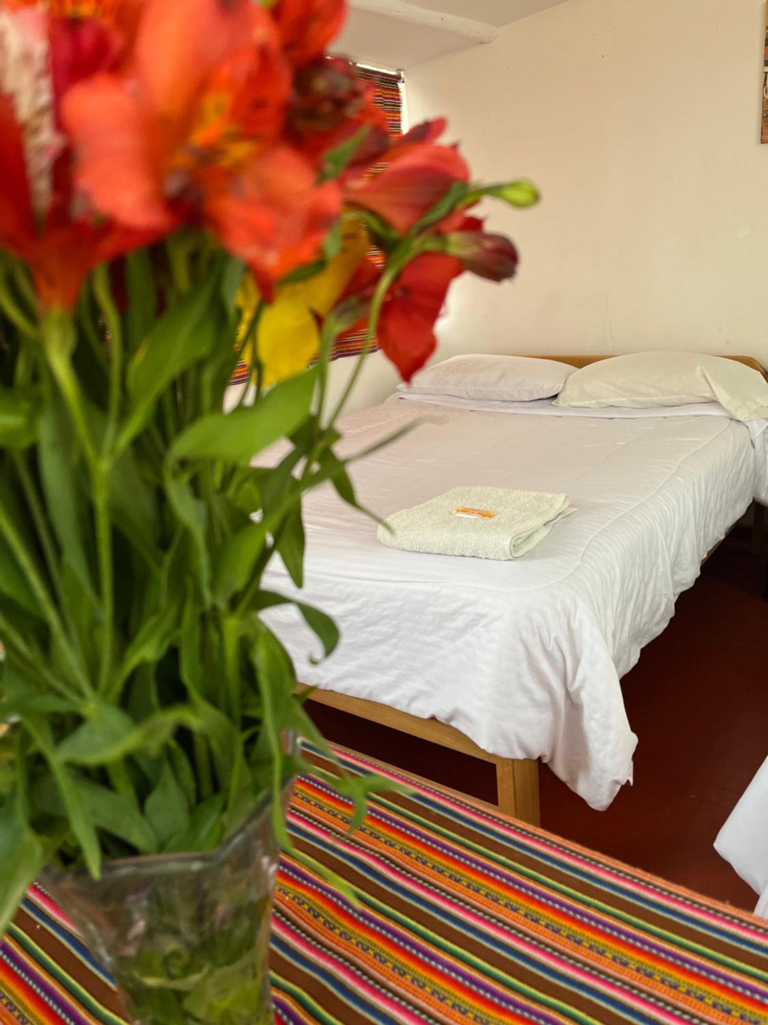 Hostel Enede